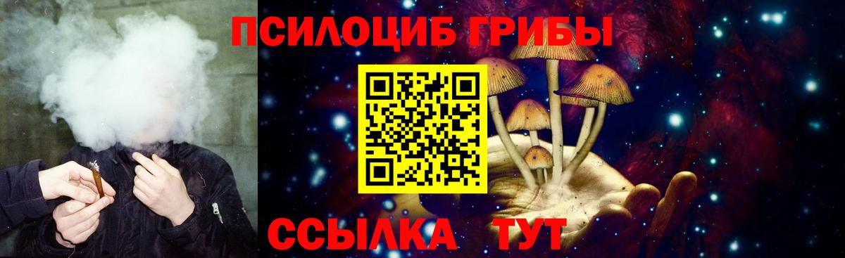 Псилоцибиновые грибы мицелий Шадринск